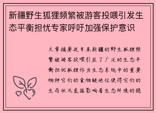 新疆野生狐狸频繁被游客投喂引发生态平衡担忧专家呼吁加强保护意识